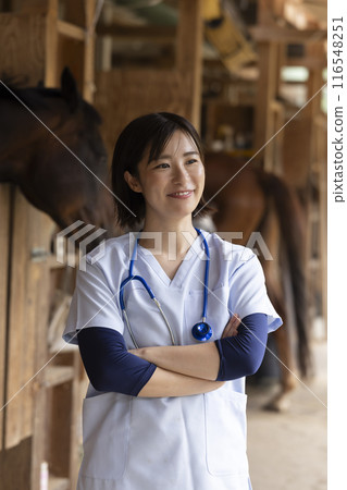 Veterinarian examining a horse 116548251