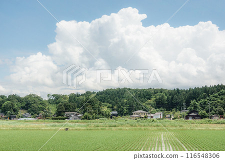 國家景觀在夏天 116548306