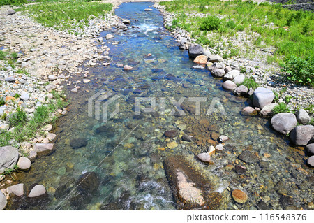 Kiyotsu River: Transparent riverbed, river scenery, near Oshima Bridge, Yuzawa Town, Niigata Prefecture 116548376