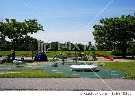 Summer holiday park in lush green park, with inclusive play equipment 116548395