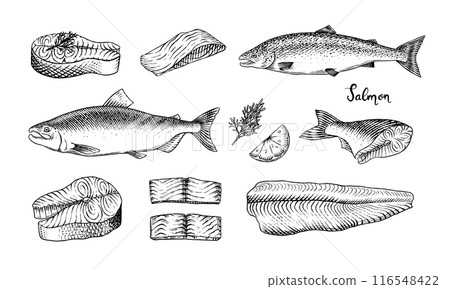 Fish sketch. Salmon fillet, ink hand drawn vector illustration. Steaks slices. Fresh product Fish sketch. Salmon fillet, ink hand drawn vector illustration. Steaks slices. Fresh product 116548422