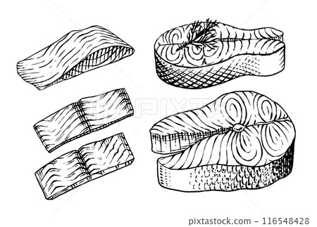 Fish sketch. Salmon fillet, ink hand drawn vector illustration. Steaks slices. Fresh product 116548428