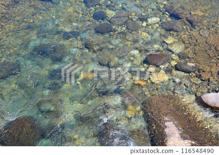 Kiyotsu River: Transparent riverbed, river scenery, near Oshima Bridge, Yuzawa Town, Niigata Prefecture Kiyotsu River: Transparent riverbed, river scenery, near Oshima Bridge, Yuzawa Town, Niigata Prefecture 116548490