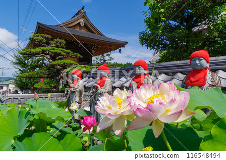 岐阜縣中津川市安藝市的蓮花（孫中山）和地藏像 116548494