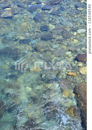 Kiyotsu River: Transparent riverbed, river scenery, near Oshima Bridge, Yuzawa Town, Niigata Prefecture Kiyotsu River: Transparent riverbed, river scenery, near Oshima Bridge, Yuzawa Town, Niigata Prefecture 116548540
