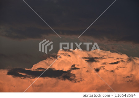 Majestic cumulus clouds illuminated by the setting sun Majestic cumulus clouds illuminated by the setting sun 116548584