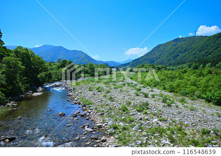 Kiyotsu River, view from Oshima Bridge, mountain and river scenery, Yuzawa Town, Niigata Prefecture 116548639