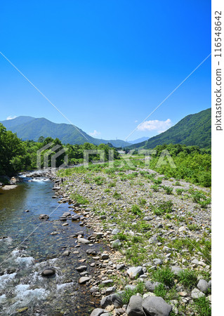 Kiyotsu River, view from Oshima Bridge, mountain and river scenery, Yuzawa Town, Niigata Prefecture 116548642