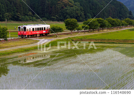 Heisei Chikuho Railway 400 series train running through a rural area after rice planting has been completed Heisei Chikuho Railway 400 series train running through a rural area after rice planting has been completed 116548690
