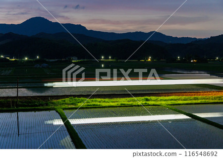 Heisei Chikuho Railway, with its train body reflected in a rice field 116548692