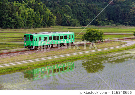Heisei Chikuho Railway 400 series train reflected in the rice fields Heisei Chikuho Railway 400 series train reflected in the rice fields 116548696