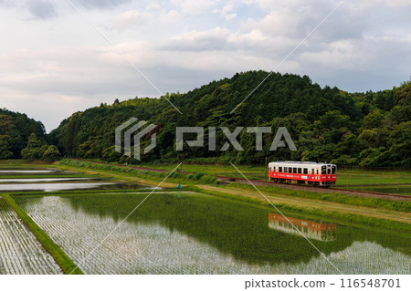 Heisei Chikuho Railway 400 series train running through the countryside Heisei Chikuho Railway 400 series train running through the countryside 116548701