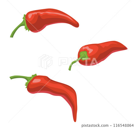 辣椒素材插畫集 116548864
