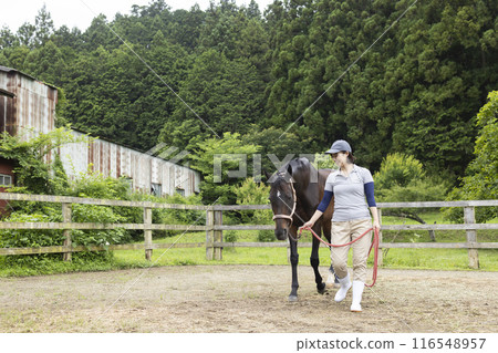 照顧一匹馬的女人 116548957
