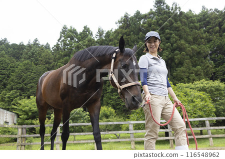 Woman taking care of a horse 116548962