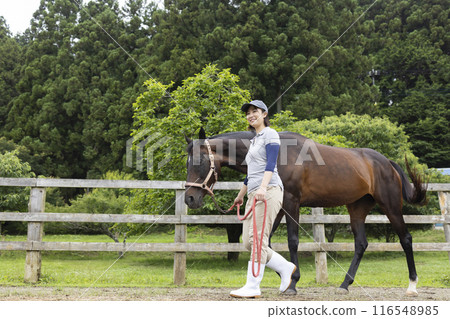 Woman taking care of a horse 116548985