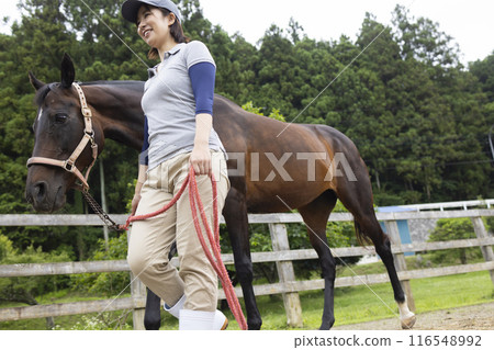 照顧一匹馬的女人 116548992