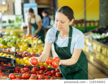 Female seller lays out ripe tomatoes on the counter of grocery supermarket Female seller lays out ripe tomatoes on the counter of grocery supermarket 116549081