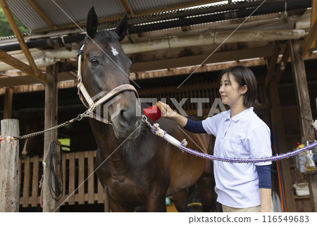 照顧一匹馬的女人 116549683