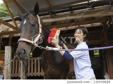 Woman taking care of a horse Woman taking care of a horse 116549684