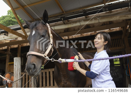 Woman taking care of a horse Woman taking care of a horse 116549686
