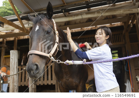 Woman taking care of a horse Woman taking care of a horse 116549691
