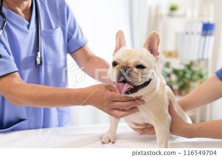 法國鬥牛犬接受體檢 116549704