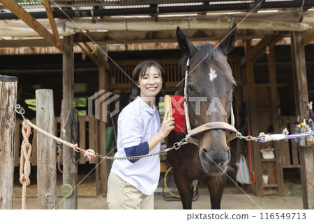 Woman taking care of a horse Woman taking care of a horse 116549713
