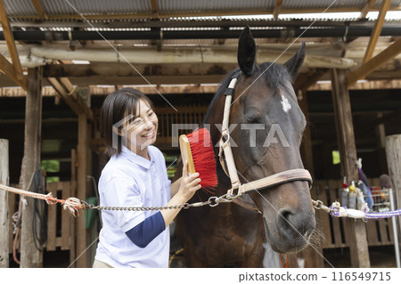照顧一匹馬的女人 116549715
