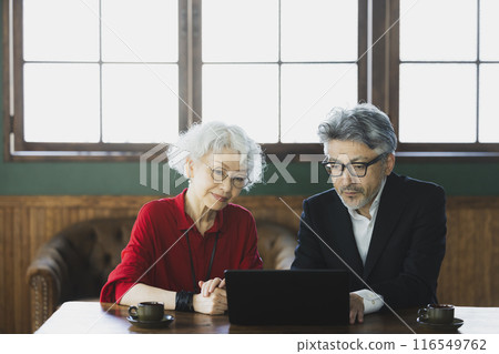 Gray-haired couple looking at a computer 116549762