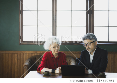 Gray-haired couple looking at a computer 116549764