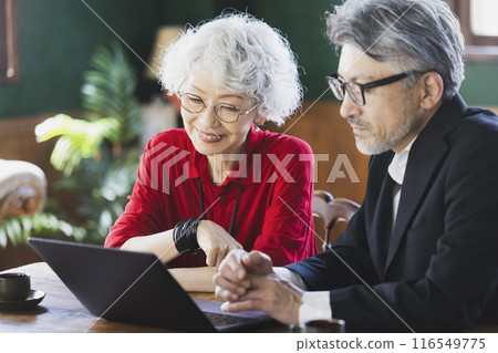 Gray-haired couple looking at a computer Gray-haired couple looking at a computer 116549775