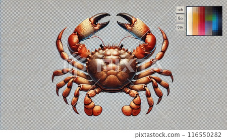 crab 116550282