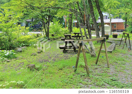 Hakuba Wadano Forest 116550319