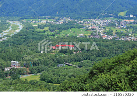 Hakuba Wadano Forest 116550320