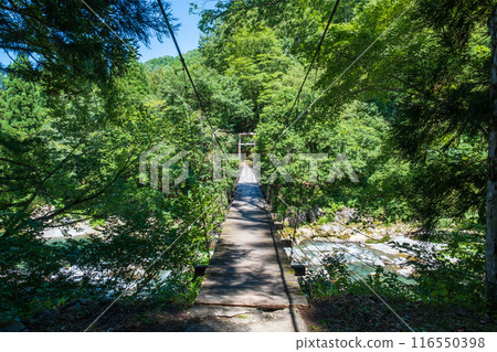 Nakatsugawa Valley (Akiyamago): Mikura Bridge 116550398