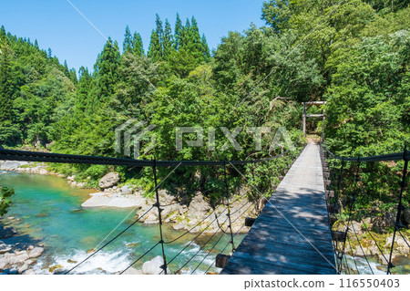 Nakatsugawa Valley (Akiyamago): Mikura Bridge 116550403