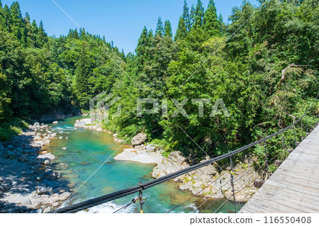 中津川谷（秋山鄉） 116550408