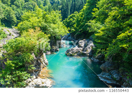 中津川谷（秋山鄉） 116550443