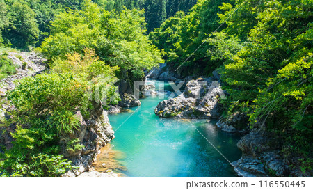 Nakatsugawa Valley (Akiyamago) 116550445