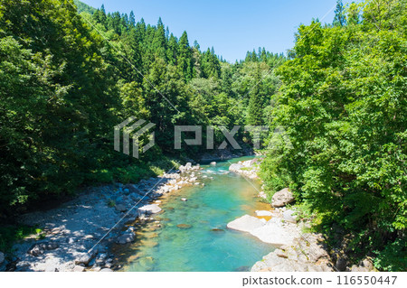 中津川谷（秋山鄉） 116550447