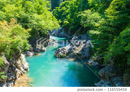 中津川谷（秋山鄉） 116550450