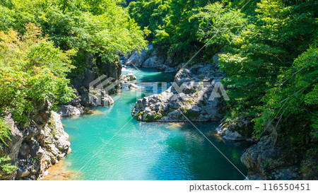 中津川谷（秋山鄉） 116550451