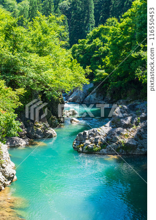 Nakatsugawa Valley (Akiyamago) 116550453