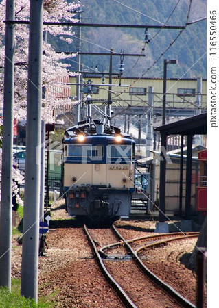 吹哨!!將過去的威嚴傳遞到今天...山口的夏爾巴人，EF63電力機車【複式運行】 116550466