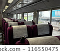Green car on the Joban Line 116550475