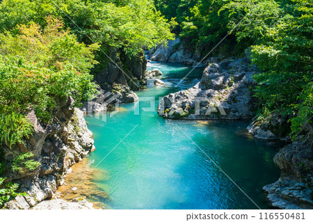 中津川谷(秋山鄉) 中津川谷(秋山鄉) 116550481