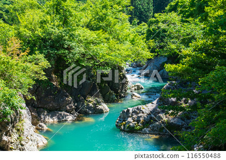 中津川谷（秋山鄉） 116550488