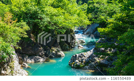 中津川谷（秋山鄉） 116550489