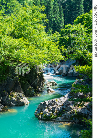中津川谷(秋山鄉) 中津川谷(秋山鄉) 116550490